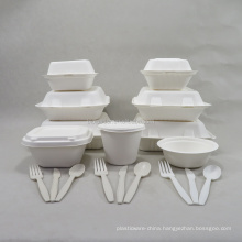 Hot Item Biodegradable Takeout Food Container Sugarcane Pulp Mold Packaging